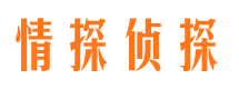 平陆市侦探调查公司